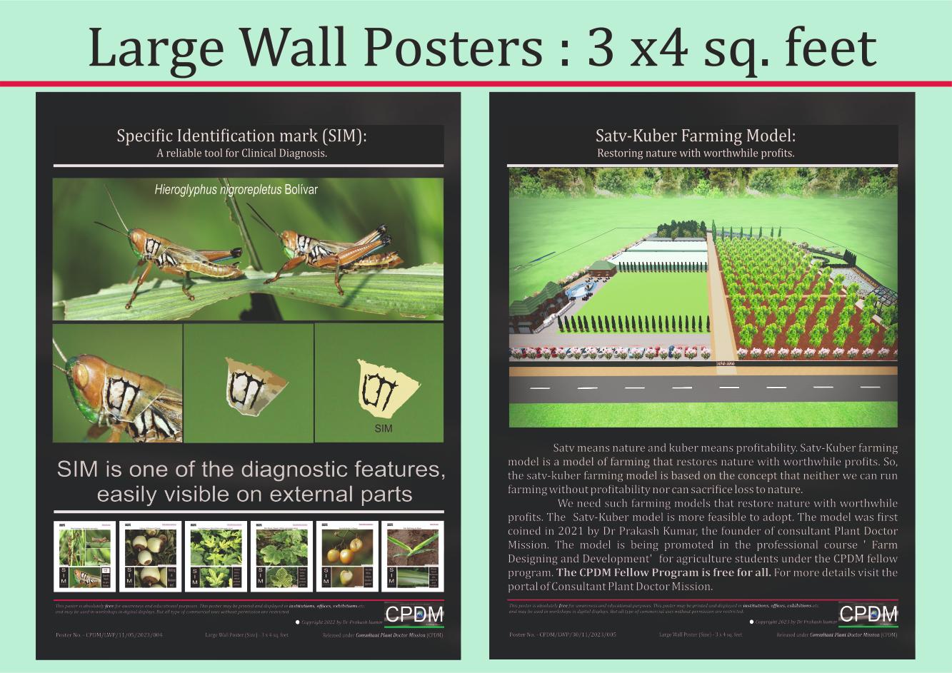 6__Large_Wall_Poster-_001_(2_KB).jpg