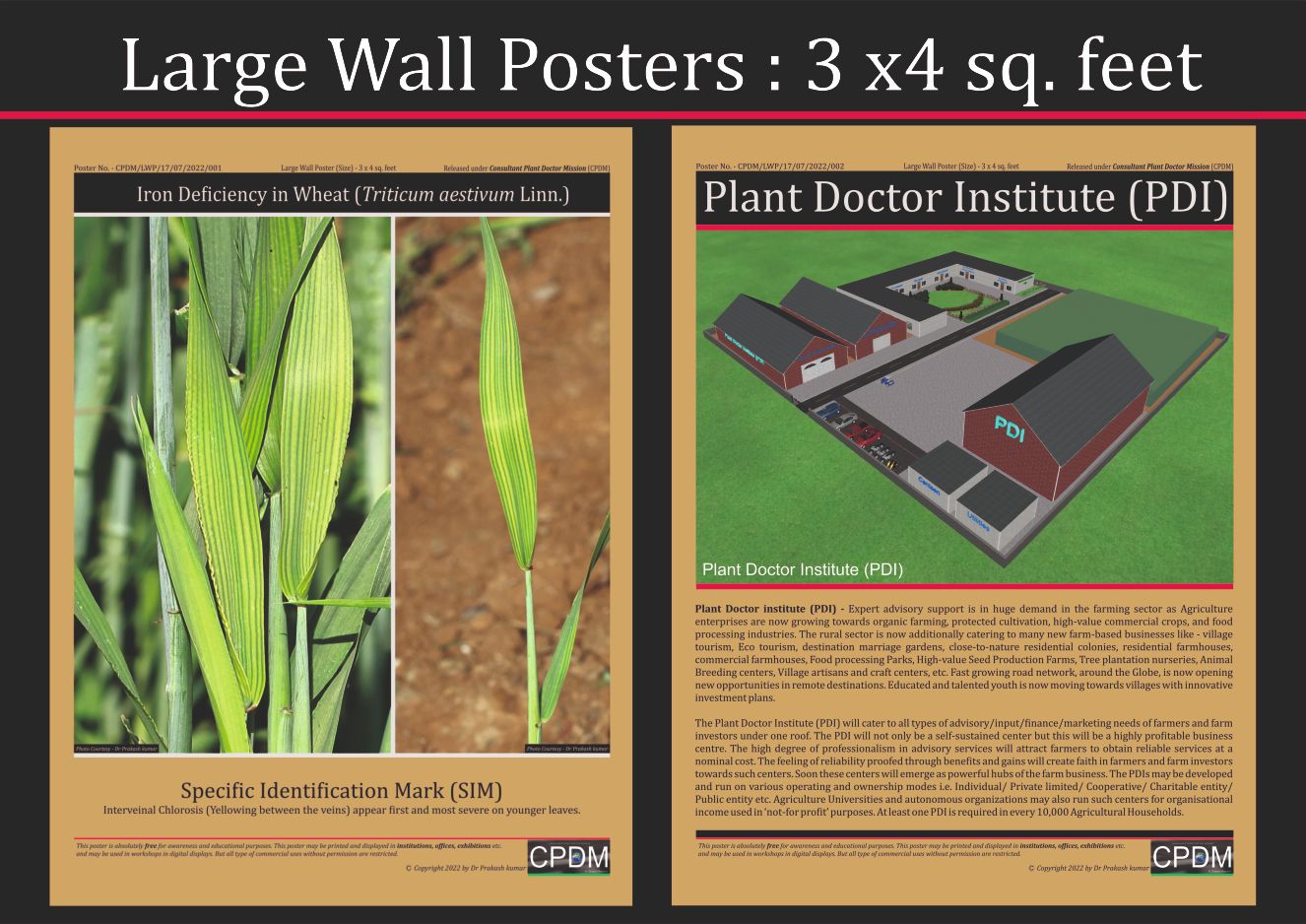 7__Large_Wall_Poster-_002_(2KB).jpg